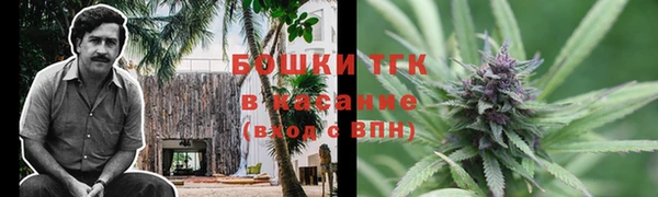 стаф Дмитровск