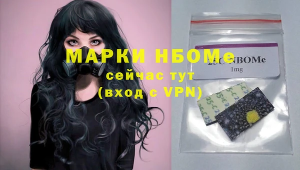 стаф Дмитровск