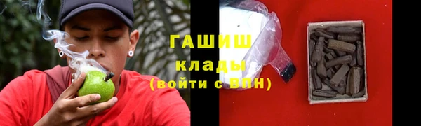 стаф Дмитровск