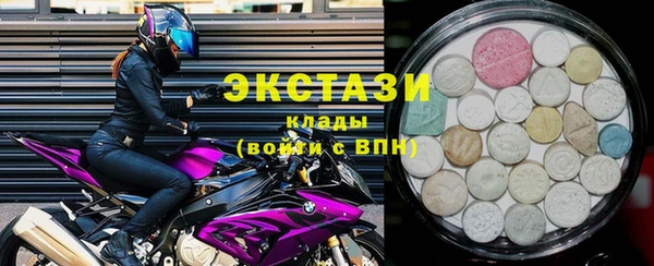 стаф Дмитровск